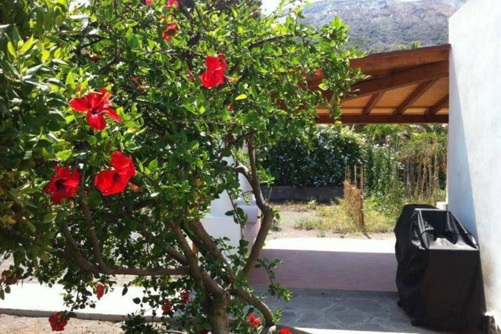Villa By The Vulcano - 70Mq Plus Large Garden And Patio Extérieur photo